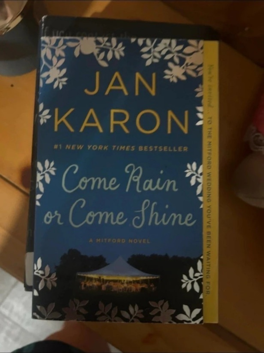 HarperCollins Come Rain or Come Shine Novel Blue